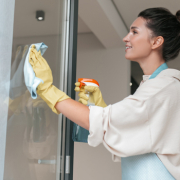 netejar finestres