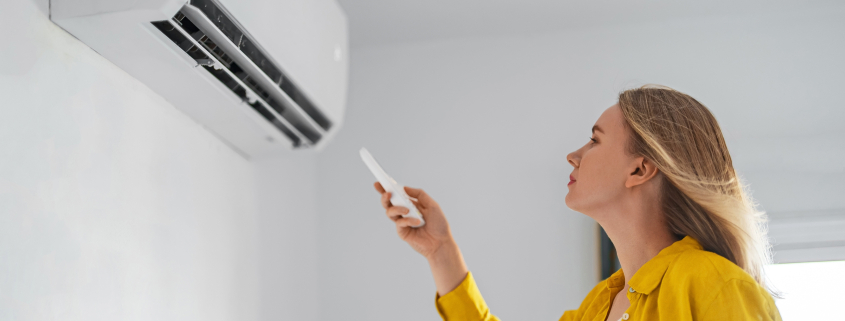 Les al·lèrgies i l'aire condicionat són una combinació excel·lent